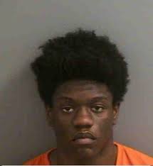 Golden Gates Estates: Teen arrested, accused of starting house fire that  killed one