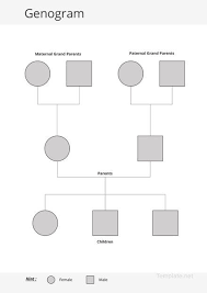 Free Sample Genogram Template Word Doc Apple Mac Pages Genogram Template Family Genogram Family Tree Template