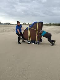 Piano moving is a tricky task. Piano Moving Professional Piano Storage Movers Nyc