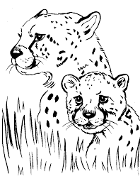 Animal coloring pages baby forest. Wild Animal Coloring Pages Best Coloring Pages For Kids