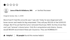 They pay quickly and ususually withoug a problem. Nationwide Pet Insurance 2021 Compare Quotes