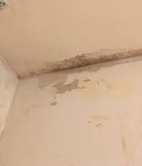 If you find black patches on the outer part of the wall, there is a chance that the black molds have been grown behind the wall as well. Black Mold In Bathroom How To Fix Damaged Drywall Doityourself Com Community Forums