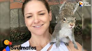Use the strongest pair of gloves possible when picking up the animal. Electrocuted Squirrel Gets Cpr By Kind Man The Dodo Youtube