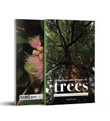 Image result for Ochna cinnabarina