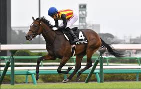 Check spelling or type a new query. ç«ä¸‹éŠã®ç«¶é¦¬äºˆæƒ³ãƒ–ãƒ­ã‚°