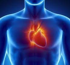 Tu dois prendre un traitement surement allah ichafik. Coeur Qui Bat Fort Et Sensations Bizarres Docteurclic Com