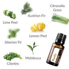 Click On The Link To Read More About Doterra S Essentialoil Blend Purify Essential Oil Carrier Oils Essential Oils Aromatherapy Lime Peel