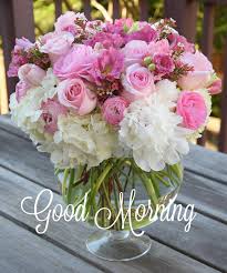 If you want to send good morning pics with roses then check our previous collection of 55 beautiful good morning rose flowers images and wish. Ntd Australia Good Morning Flowers For You Facebook
