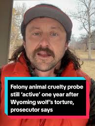 Cody Roberts Wolf Spanish