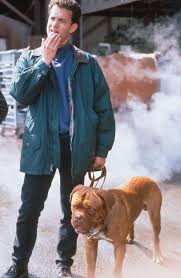 We did not find results for: Nuncajamas Cocker Tom Hanks Y Beasley Socios Y Sabuesos