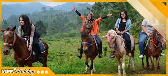 Agrowisata Gunung Mas Wisata Puncak Bogor Mawa Holiday