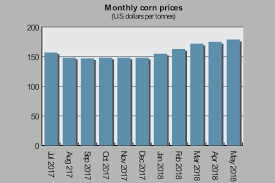 Grain Market Review Coarse Grains 2018 10 10 World Grain