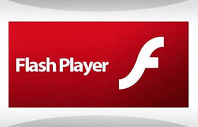 Dummies helps everyone be more knowledgeable and confident in applying what they know. Adobe Flash Player 31 Offline Installer Download For Windows Mac Linux