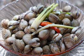 Kerang merupakan salah satu makanan laut yang menjadi kegemaran ramai juga. Kerang Hanyir Setelah Direbus Ini Cara Betul Merebus Agar Tidak Hanyir Islam Itu Indah