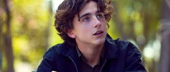 In condensing herbert's rambling and complex book by eliminating characters and compacting events. Dune First Look Timothee Chalamet As Paul Atreides Film