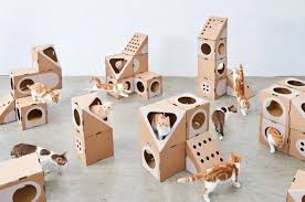 Batuan dasar tempat ekonomi imut dibangun adalah cukup banyak kucing rumah dalam kotak. Hati Hati Berjamur Begini Tips Mudah Dan Murah Bangun Rumah Kucing Semua Halaman Idea