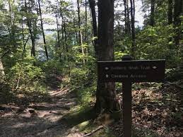 The Endless Wall Trail In West Virginia Is A Unique Place To Hike West Virginia Travel Hiking In Virginia West Virginia