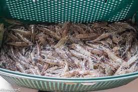 Cuisson Des Crevettes Kilometre 0