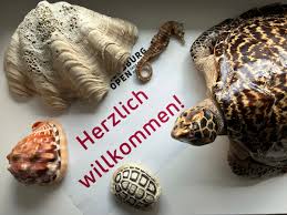 HZA-A: Augsburg Open beim Hauptzollamt Augsburg/Einblicke in die Aufgabenvielfalt des Zolls
