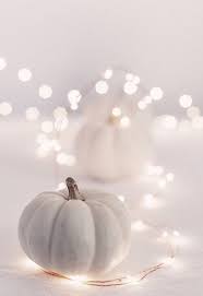 They are applicable as substitutes for white . 26 Cozy Fall Decor Ideas With Lights Shelterness