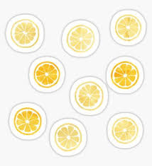Yellow Watercolor Lemon Slices Pattern Sticker Summer Sticker Hydroflask Stickers Tumblr Stickers