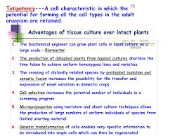 Check spelling or type a new query. Definition The Term Plant Tissue Culture Is Described In Vitro And Aseptic Cultivation Of Any Plant Part On Nutrient Medium Or The Culture Ppt Video Online Download