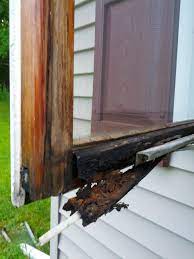 Check spelling or type a new query. Casement Window Bottom Of Frame Rotted Repair Or Replace Diy Home Improvement Remodeling Repair Forum