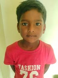 honora pearls joel schechter