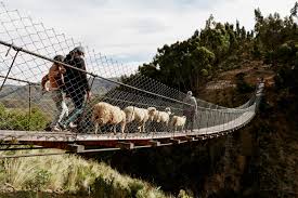 Image result for bridges