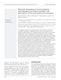 Image result for Lankesteria