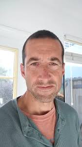 Dolphins! 🐬🐬🐬