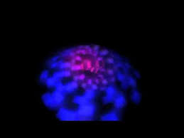 By condensing the sonic explorations of meddle to actual songs and adding a lush, immaculate production to their trippiest instrumental sections, pink floyd inadvertently designed their commercial breakthrough with dark side of the moon. Pink Floyd Money Instrumental Youtube