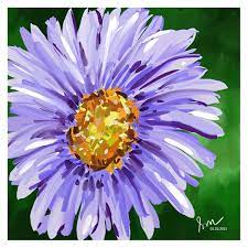 Purple Aster Flower Artrage Oil Painting Bubblews Aster Flower Flower Painting Flower Art