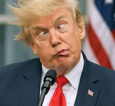 Newsom wants a BIG BEAUTIFUL gift from Canada! 😅🔥