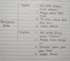 Ekspirasi adalah bagian dari proses pernapasan yaitu mengeluarkan udara dari dalam tubuh. Menganalisis Mekanisme Pernapasan Dada Pada Saat Inspirasi Dan Ekspirasi Dalam Bentuk Diagram Brainly Co Id