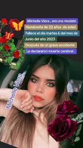 Michelle Viera's Instagram, Twitter & Facebook