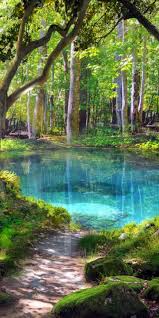 Beautiful Blue Green Pond Book 2 Desire And Decorum In 2020 Beautiful Nature Nature Photography Scenery
