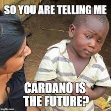 Cardano is developing a smart contract platform that seeks to deliver more advanced features than any protocol previously developed. Why You Need To Have Cardano Ada In Your Portfolio Steemit