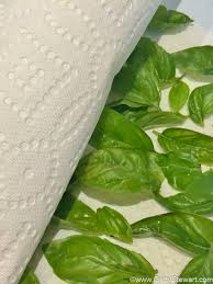 How To Dry Basil In The Microwave Getty Stewart