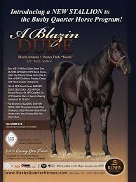 2023 CANADIAN CHAMPION