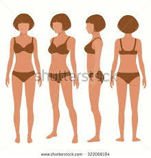 Anatomical diagram showing a back view of muscles in the human body. Human Body Anatomy Front Back Side View Vector Woman Illustration Frau Zeichnen Frau Illustration Anatomie Des Korpers