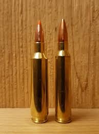 Nosler Proprietary Cartridges Wikiwand