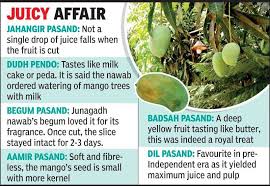 A fruit is the part of a plant that has seeds and flesh (edible covering). Rajkot Taste King Of Fruits From The Nawab Era Rajkot News Times Of India