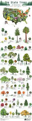Pin On Offbeat Infographics