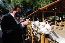 Lo mejor de río de janeiro: Prefeitura Inaugura O Bioparque Do Rio Um Novo Conceito De Zoologico Com Mais De Mil Animais Prefeitura Da Cidade Do Rio De Janeiro Prefeitura Rio