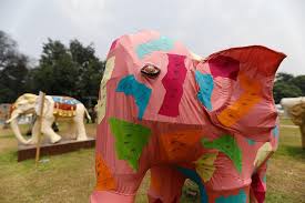 Preserving India S Pachyderms Stream tracks and playlists from panch mahotsav on your desktop or mobile device. preserving india s pachyderms