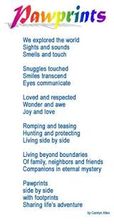 Maybe you would like to learn more about one of these? 550 Rainbow Bridge Ideas Rainbow Bridge Pet Loss Pet Loss Grief