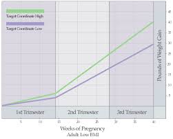 Weight Increase Chart During Pregnancy Co Gain By Month