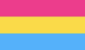 According to most definitions, the pink represents people who are female identified, the blue represents people who are male identified, while the yellow represents nonbinary attraction. Quality Affordable Uk Made Custom World Flags Pansexual Pride Lgbt Flag Red Dragon Flagmakers