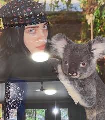 Pin By Vilte Virbickaitee On Billie Eilish In 2020 Billie Billie Eilish Koala